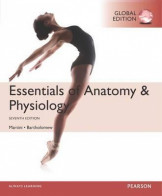 Essentials of Anatomy and Physiology Seventh Edition