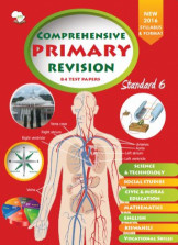 Comprehensive Primary Revision Standard 6