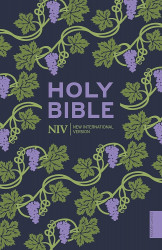 Niv Holy Bible (Hodder Classics)