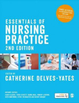 Essential Of Nursing Practice 2nd Edition
