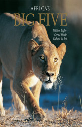 Africa's Big Five;Hard cover-William Taylor
