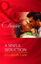 A Sinful Seduction