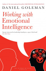 Working with Emotional Intelligence