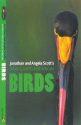 Safari Guide to East African Birds-Jonathan Scott