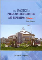 The Basics of Public Sector Accounting and Reporting: Vol 1 First Edition