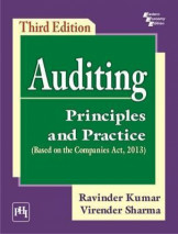 Auditing Principles and Practice